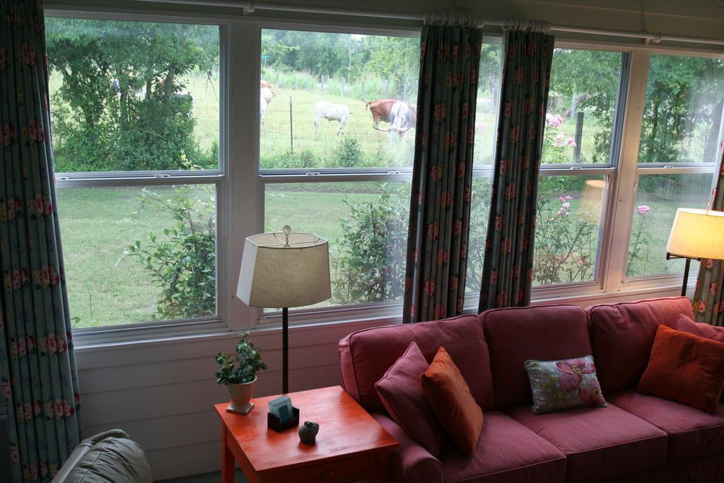 Onion Creek Cottage Austin Kültér fotó